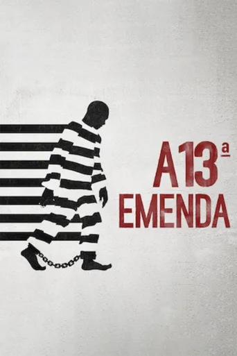A 13ª Emenda