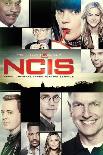 Temporada 15